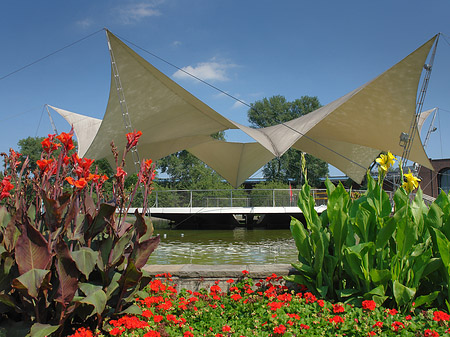 Foto Tanzbrunnen im Rheinpark - Köln