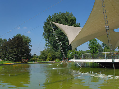 Fotos Tanzbrunnen im Rheinpark | Köln