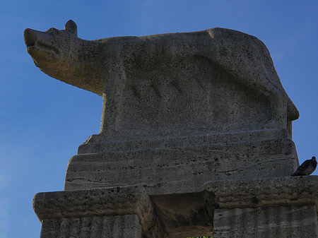 Wolfsstatue am Stadtmuseum